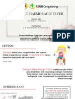 Dengue Haemoragic Fever: Livia Meidy U - 2120221223