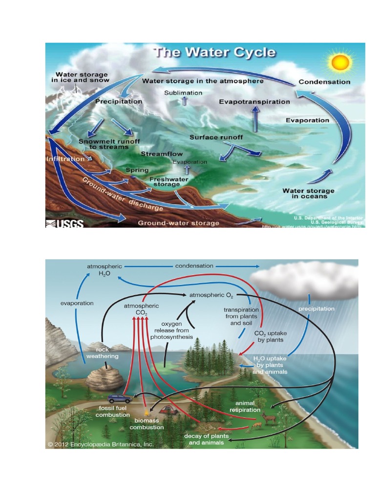 2 | PDF