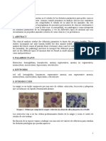 Resumen: Imagen 1. Células Que Componen La Sangre: Eritrocito (A), Leucocito (B) y Plaquetas (C) - (CIAB)