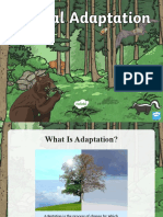 Ca2 T 49 Animal Adaptation Powerpoint - Ver - 3