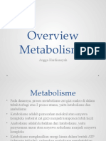 Kul 2 - Overview Metabolisme