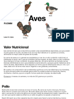 Aves