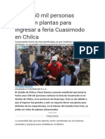 Unas 250 Mil Personas Entregan Plantas para Ingresar A Feria Cuasimodo en Chilca
