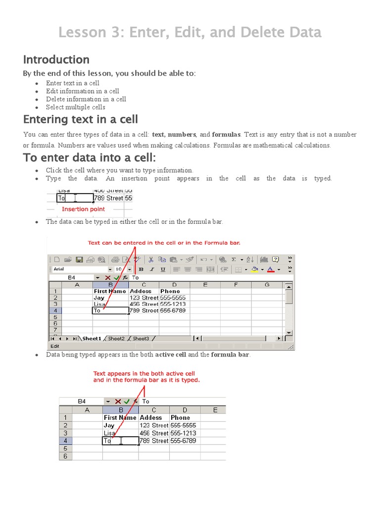 Excel Data Entry & Editing Guide | PDF | Microsoft Excel | Software ...