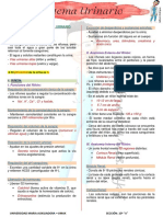 4 - Sistema Urinario PDF