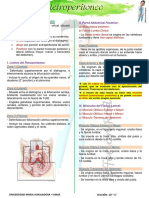 Anatomía del retroperitoneo: límites, vasos y órganos