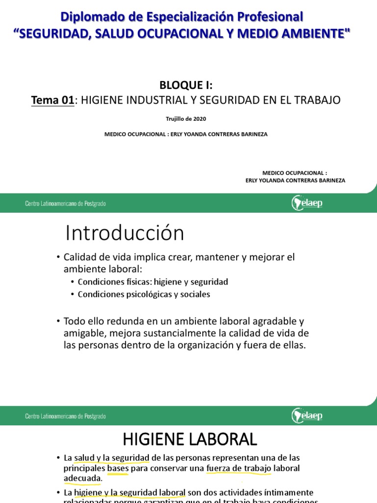 Presentacion TEMA I HIGIENE INDUSTRIAL Y SEGURIDAD EN EL TRABAJO | PDF ...