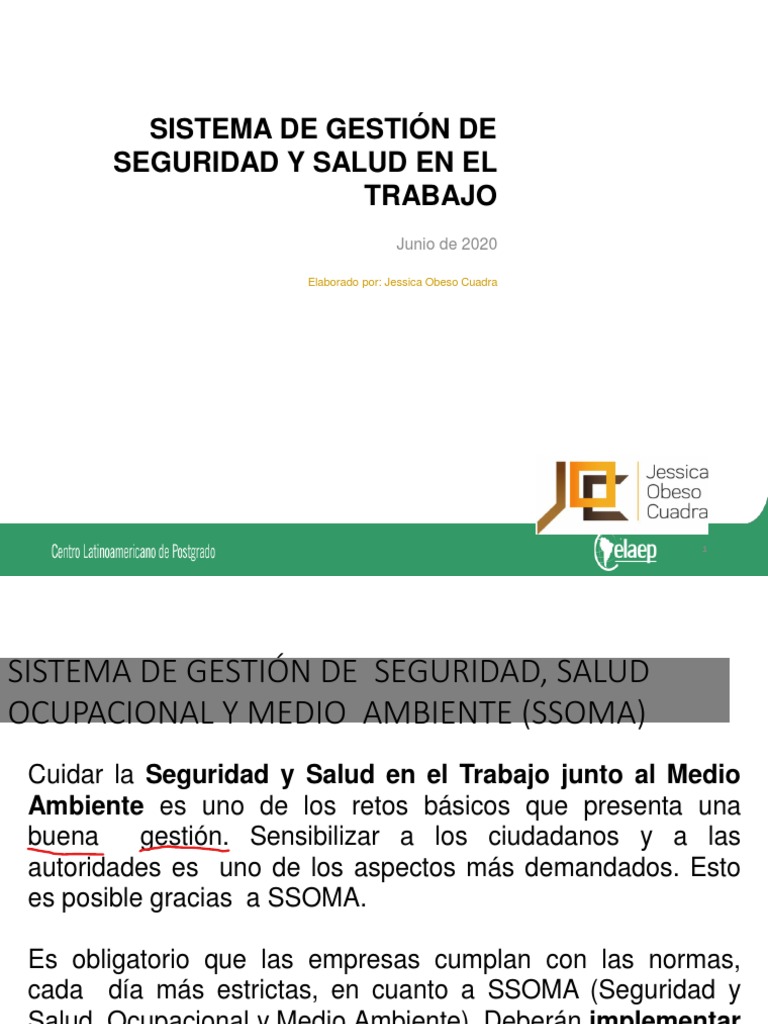 Sistema de Gestión de Seguridad y Salud en El Trabajo | PDF | Seguridad ...