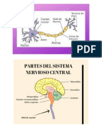 Tarea Quimica