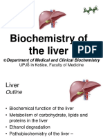Liver's Vital Role in Metabolism