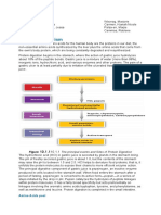 Protein Metabolism