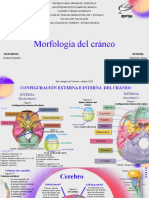 Presentación Sobre Neurociencias