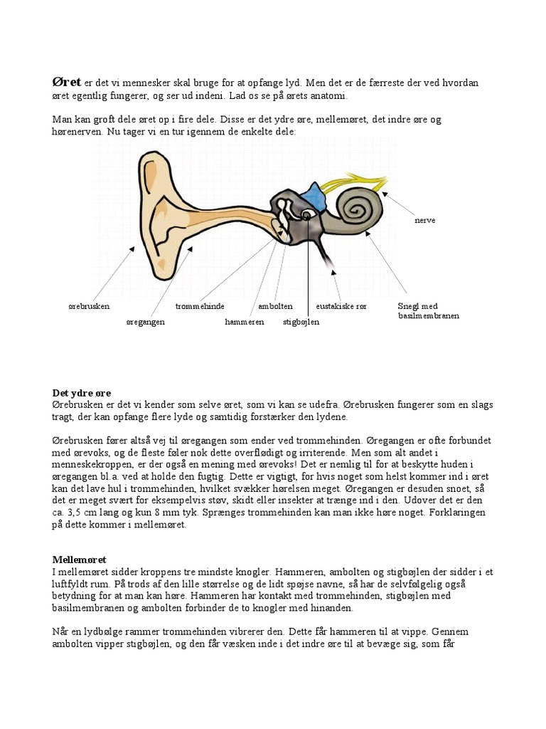 ret-pdf