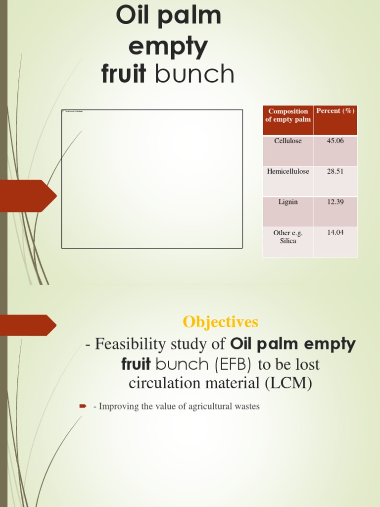Oil Palm Empty Fruit Bunch | PDF