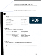 De Neutrale Pronominer - Voila PDF