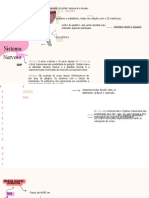 Sistema Nervoso Mapa