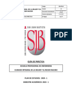 VRA-FR-044 Formato de Guía Práctica V.01 Cuidado Integral de La Mujer y El Recien Nacido