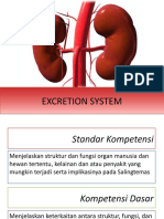 Excretion System