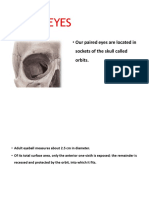 025e6f8e7c33e-HUMAN EYE AND NERVOUS SYSTEM PDF