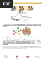 Triangle des textures du sol GEPPA | PDF | Sol (pédologie) | Argile