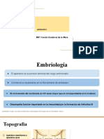 APENDICITIS