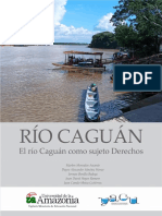 El Rio Caguan Como Sujeto de Derechos
