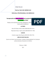 Incorporacion de Daños Punitivos en La Proteccion Del Derecho Al Consumidor