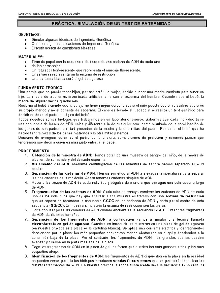 Simulación De Un Test De Paternidad Pdf Adn Subrogación