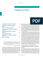 Fisiología del trabajo de parto: factores que regulan el inicio del parto