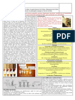 Fiche Synthèse Bière PDF