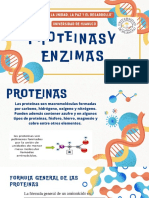 Proteinas y Enzimas