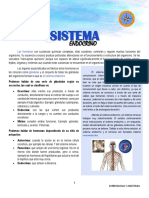 Sistema endocrino