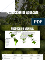 Vivienda-Productores de Aguacate PDF