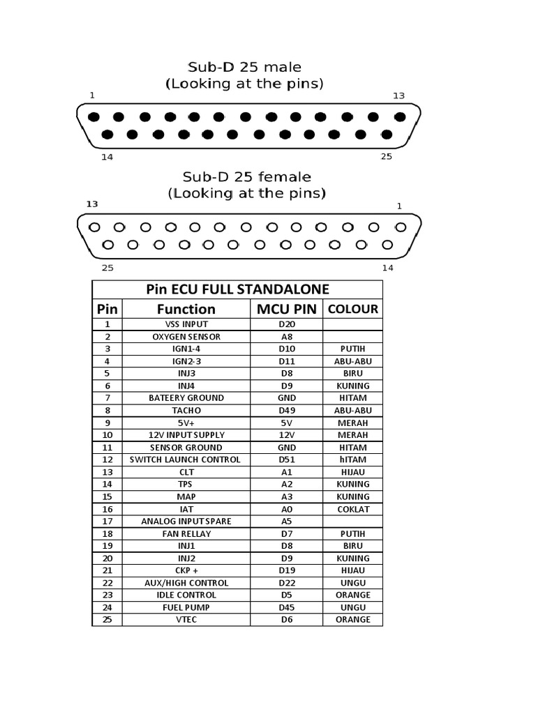 Pin Ecu Full Standalone Mini | PDF