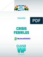 15 Crisis Febriles PDF