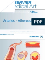 Arteries Atherothrombosis
