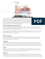 Partes Del Oído y Partes de La Oreja