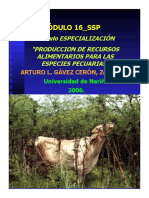 GUIA 2_MÓDULO N°16_SISTEMAS SILVOPASTORILES.pdf