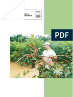 MÓDULO_14_CULTIVO YUCA.pdf