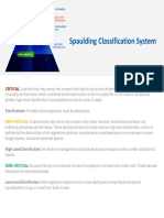 Spaulding Classification System