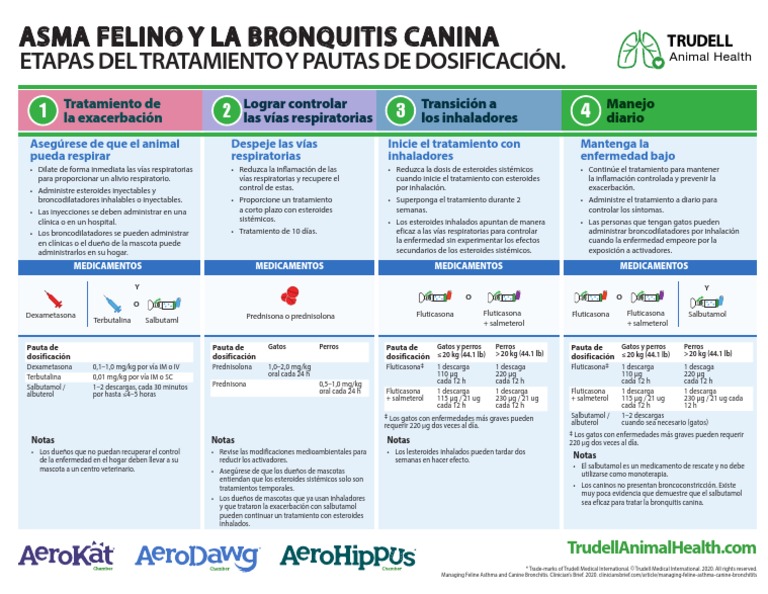 Dosing Guidelines Reference Chart ESP | PDF | Tratamientos médicos | Drogas