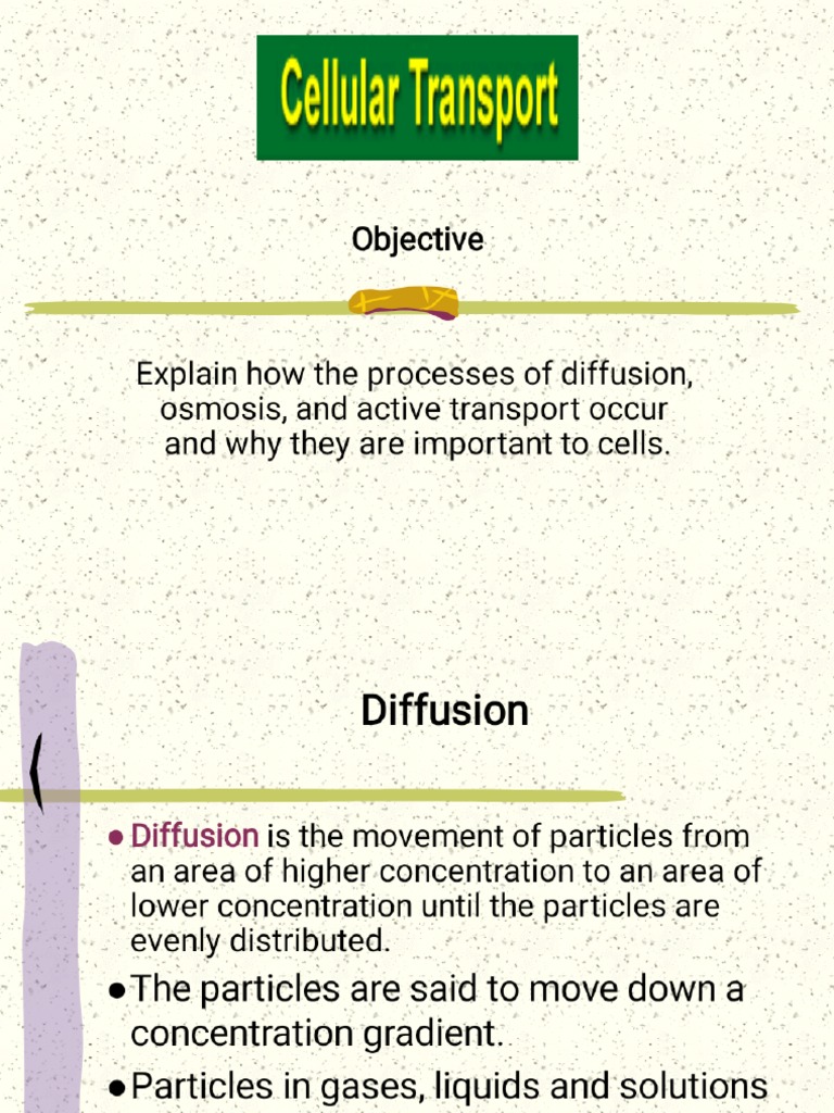 OsmosisdiffusionActive Transport Csec PDF PDF