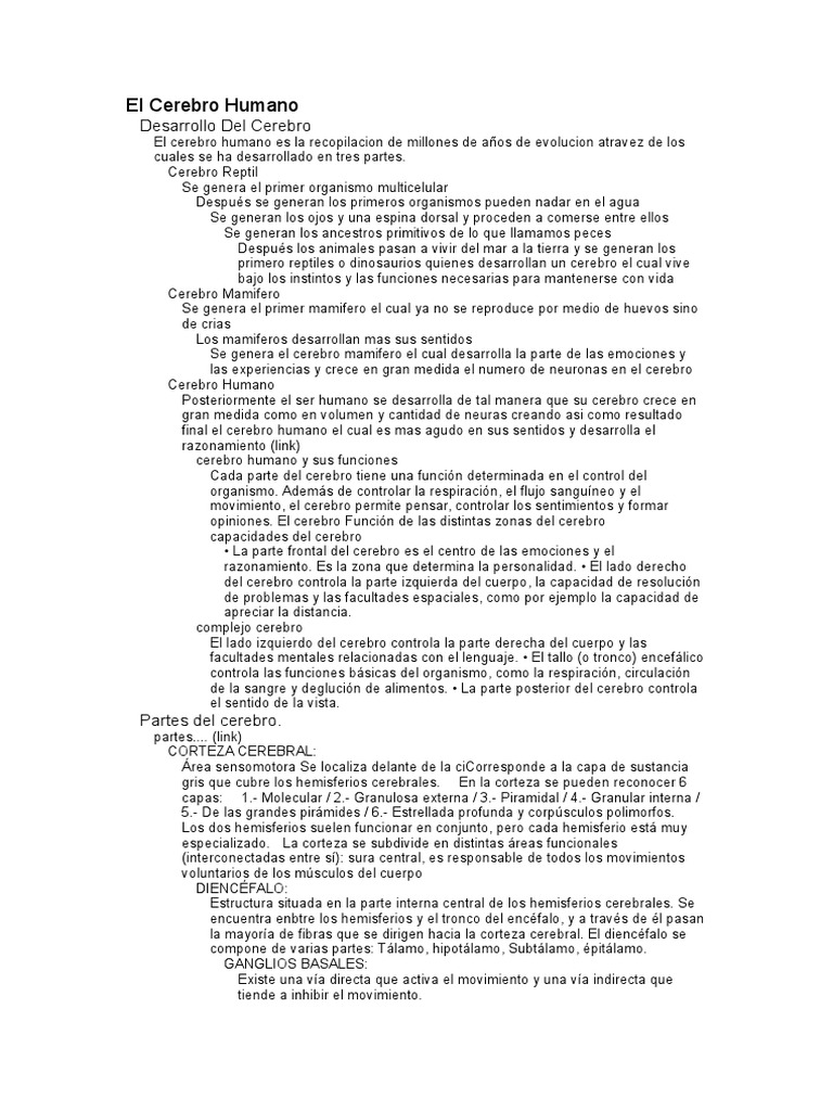 Mapa Conceptual Sobre El Cerebro | PDF | Cerebro | Corteza cerebral