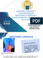 Anatomía Laringea y Funcionamiento Patologías Laríngeas y Clasificación de Las Patologías de La Voz