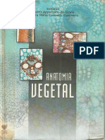 Appezzato Cap 6 PDF