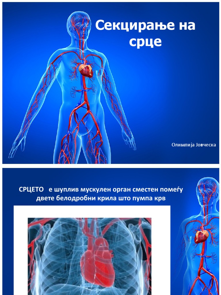 СРЦЕ | PDF