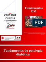 1 - Fundamentos de Patología Diabética. PDF