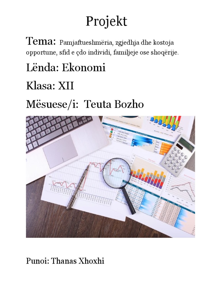 Projekt Ekonomi | PDF