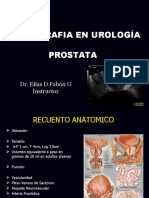 Prostata y Vejiga DR Elias PDF