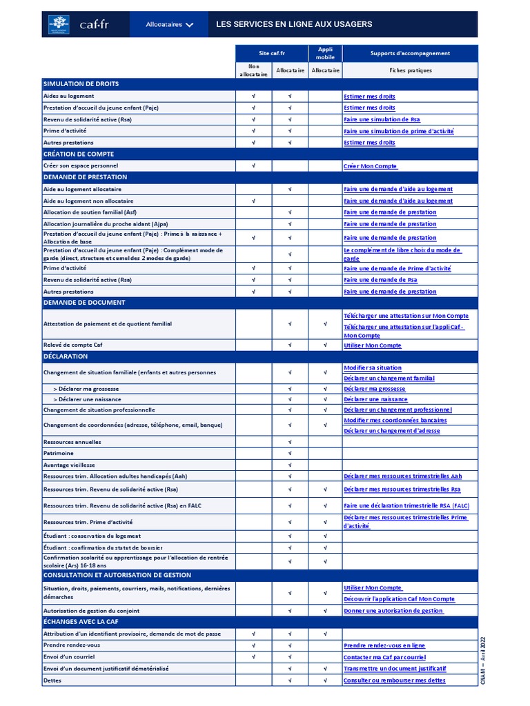 Services en ligne de la CAF | PDF
